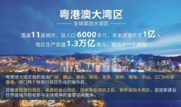 乳山贸易城爆料案件最新,案件进展追踪，真相渐明