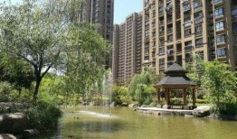 清水湾房价最新爆料,涨跌动态一览无余