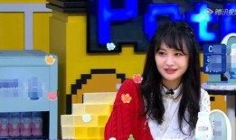 郑爽最新爆料节目,娱乐圈背后的真相与心酸